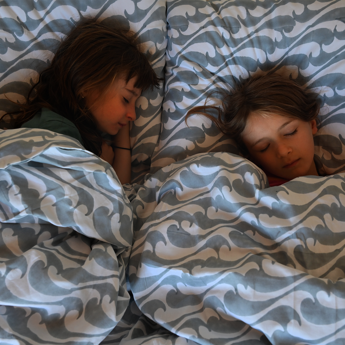 The Blue Wave Hand Block Printed Pillowcases