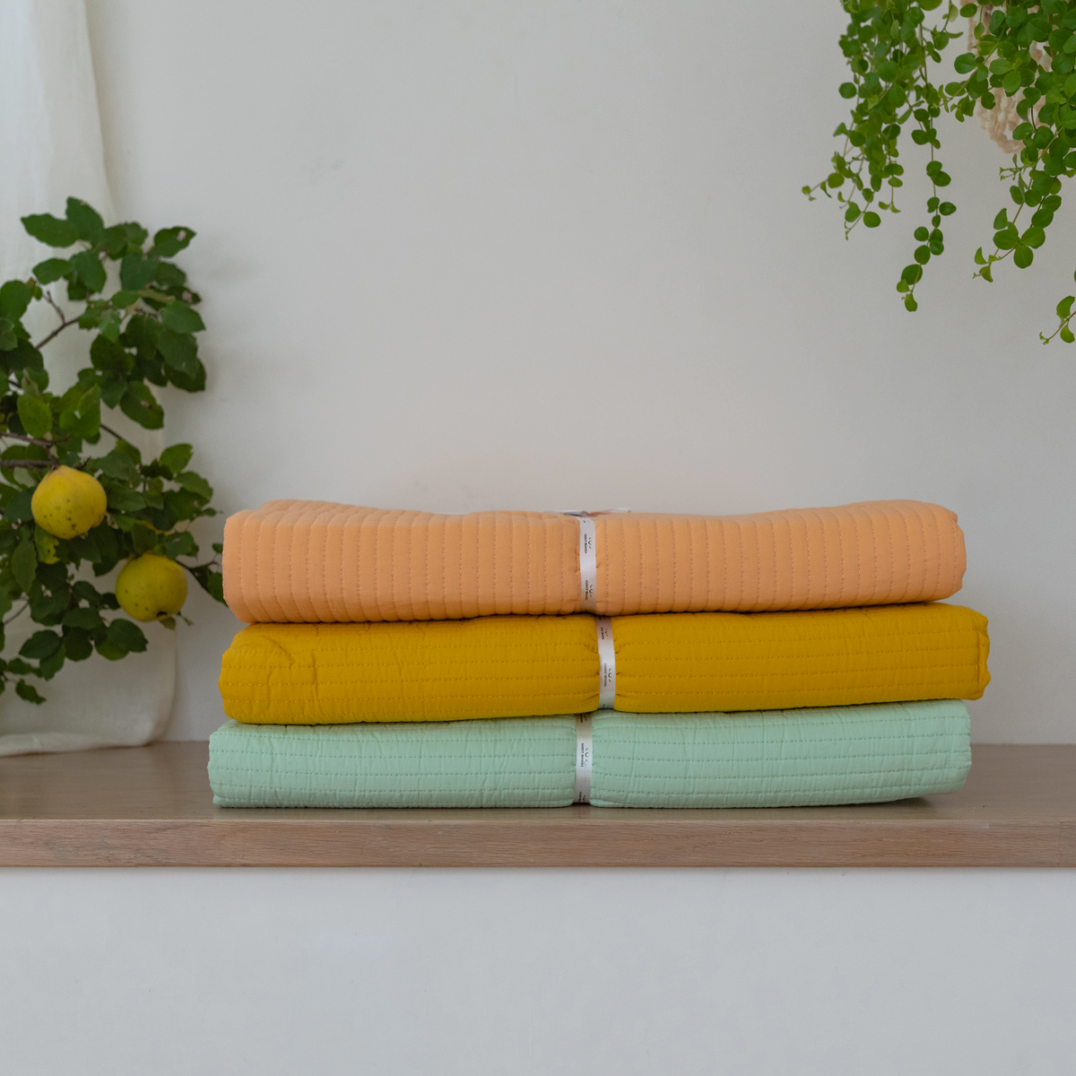 Organic Cotton Voile Sham Set