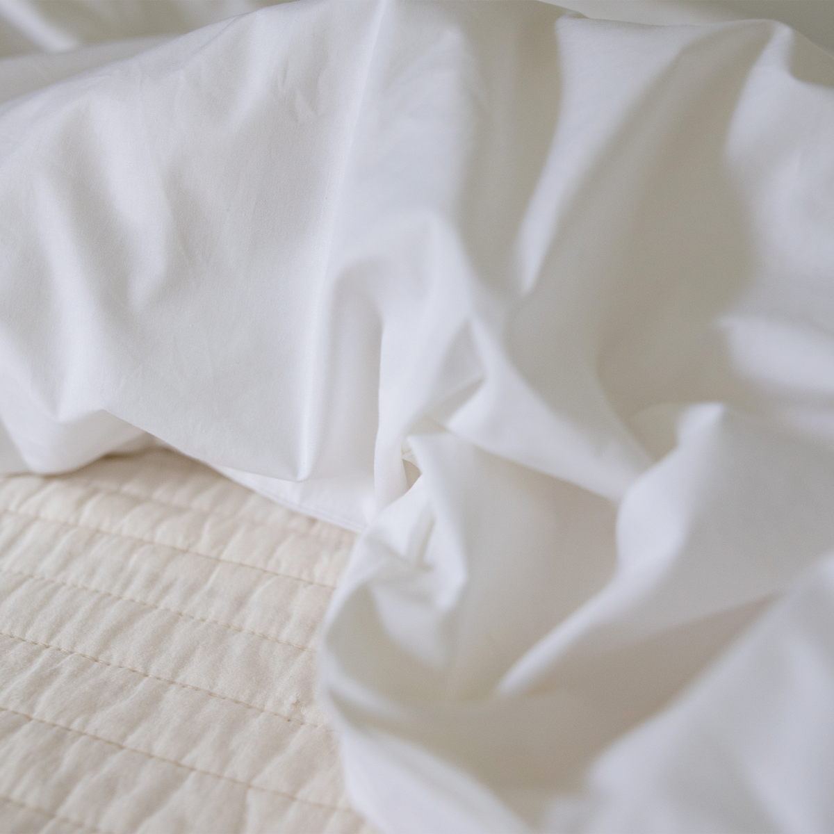 Organic Percale Pillowcase Set in Cool White