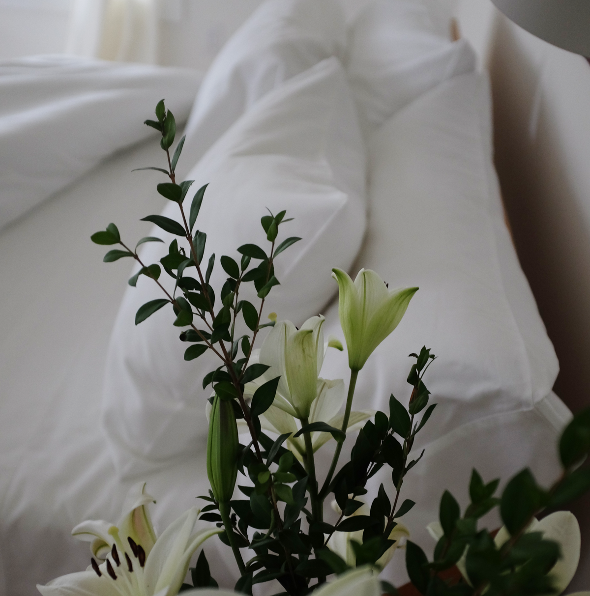 Our Label's Organic Pillowcase Set In Wonderland Cotton
